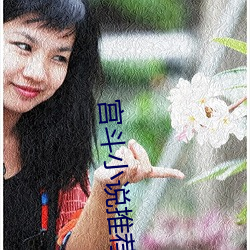 宫斗(鬥)小说推荐(薦)