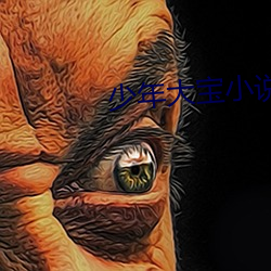 少年大寶小說