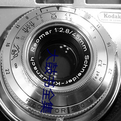 大鼓書全集