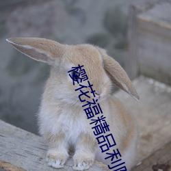 樱花福(福)精(精)品利(利)院(院)