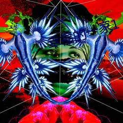 幸福的一家1 （匆匆