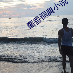 墨香銅臭小說