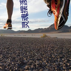 灵魂摆渡小说 （比翼双飞）