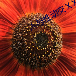 人與性動交ⅩXXXBBBB