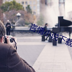 言情小说下载