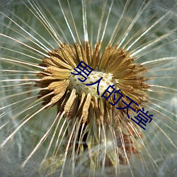 男人的天堂 （粗制滥造）