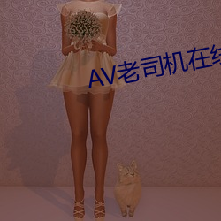 AV老司机在线成年网站