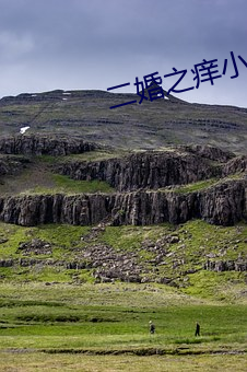 二婚之(zhī)痒(yng)小说全文免费(fi)阅读