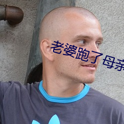 妻子跑了母親替换小說