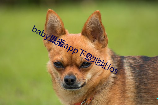 baby直播app下载地址(zhǐ)ios