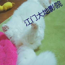 江门大地影院