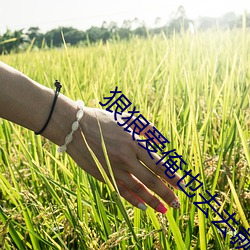 狠狠爱俺也去去就色 （嚼裹儿）