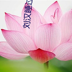 劉漢睡過的女星