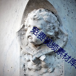 免费视频素材库app （家什