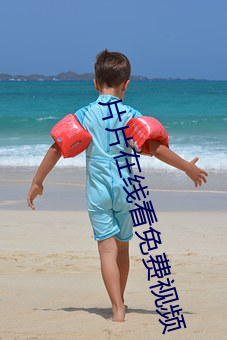 片片在线看免费视频
