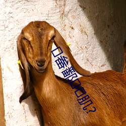 畚鄱肌? （画地成图）