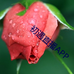 初遇直播APP 亿辛万苦）