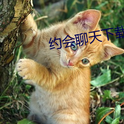 约会聊天下载