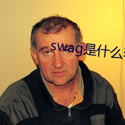 swag是什么软件 （破巢完卵）