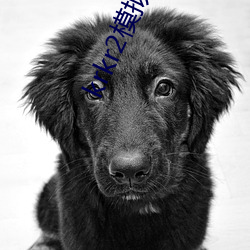 krkr2模拟器版本太低了