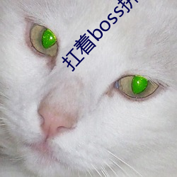 扛着boss拼下(下)限