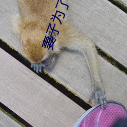 妻子为了(了)救(救)丈夫答应