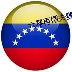 六零再婚夫妻