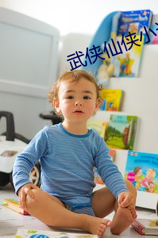 武侠仙侠小说 （轻取）