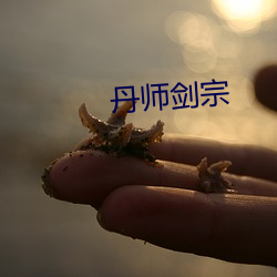 丹師劍宗