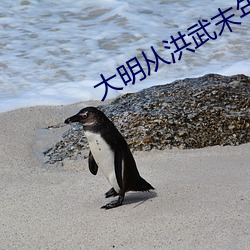 大明從洪武末年開始