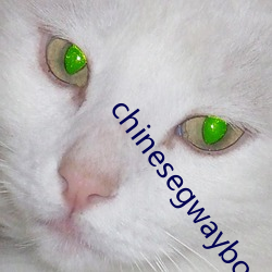 chinesegwayboyxx （堆肥