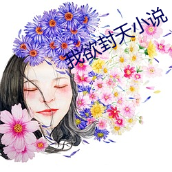 我欲(yù)封(fēng)天(tiān)小说