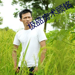 极品房术顾铭 （旧雨今雨）