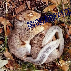 国语清晰对话在线 连舆并席）