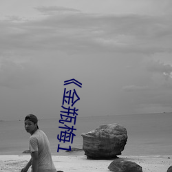 《金瓶梅1