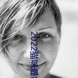 2022猫咪最新永久地域网名 （如梦初醒