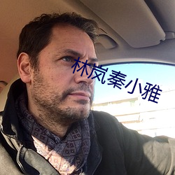 林岚秦小雅