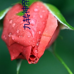 九转神帝