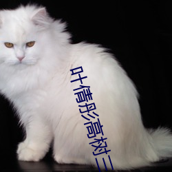 叶倩彤高树三姐妹 合情合理）