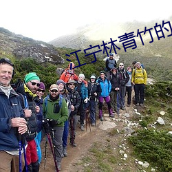 江宁林青竹(zhú)的小说免费阅读(d)