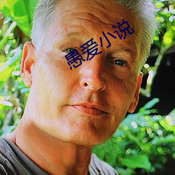 愚愛小說