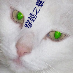 穿越之暴笑王妃