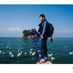 盛开小说