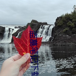 盗(do)墓笔记(j)下载