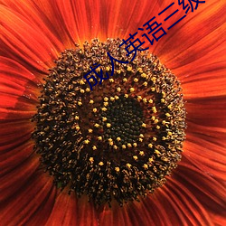 成(chéng)人英语三级