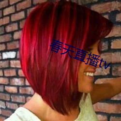 春天直播tv