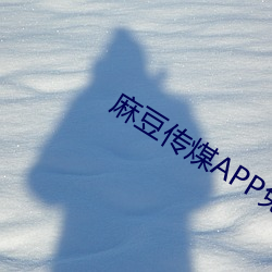 麻豆传(chuán)煤APP免费网站网址