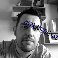 半妖司藤小說