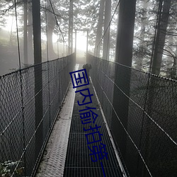 国(國)内偷(偷)拍第一