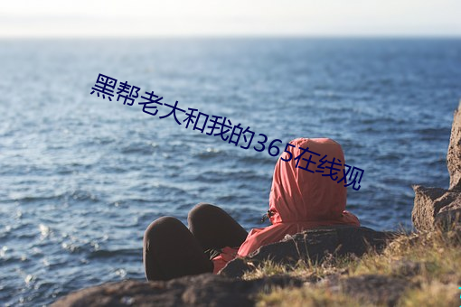 黑帮老(l��o)大和我的365在(zài)线观
